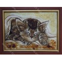 Картина Сон котёнка